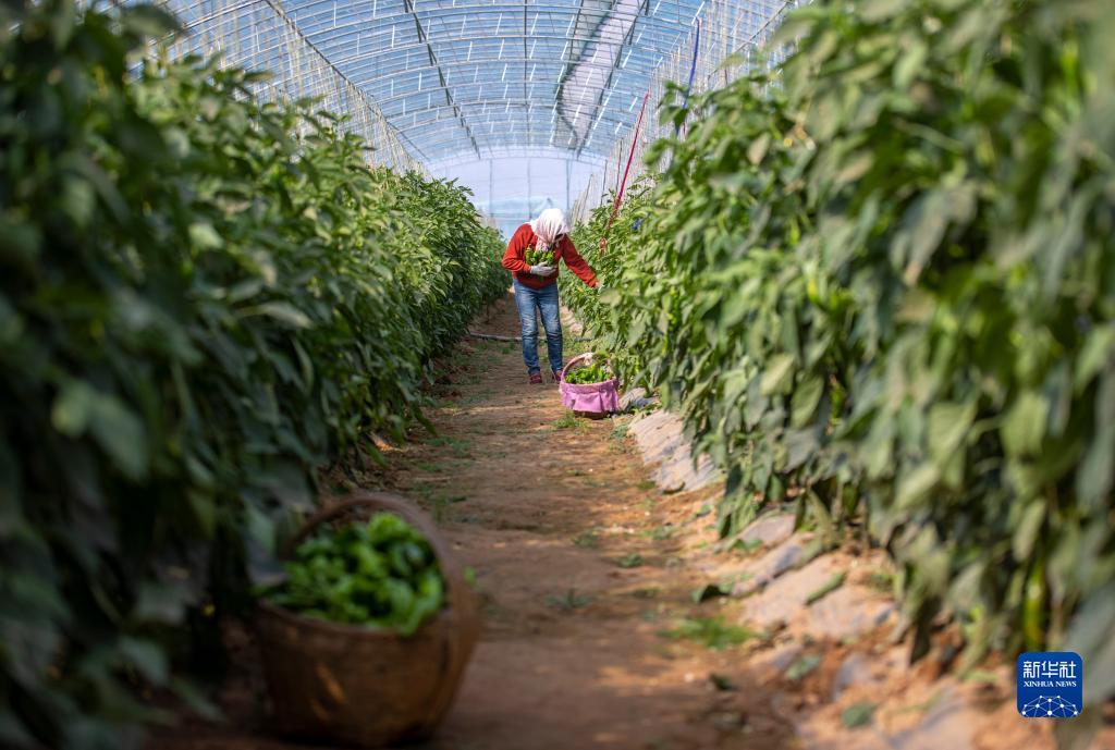 开户免费送白菜平台汽车座垫